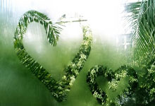 浦和红钻vs.山东鲁能：中超最后一场亚冠之战